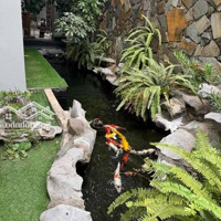Biệt Thự Làng Việt Kiều Châu Âu, Nguyễn Văn Lộc, Vũ Trọng Khánh, Trần Phú, 260M2, Căn Góc,Thang Máy