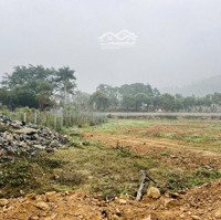 Siêu Phẩm Hàng Vip Giá Siêu Rẻ Cho Nđt 1.4Ha. Mặt Bãi Dài Xanhvila