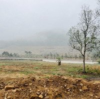 Siêu Phẩm Hàng Vip Giá Siêu Rẻ Cho Nđt 1.4Ha. Mặt Bãi Dài Xanhvila