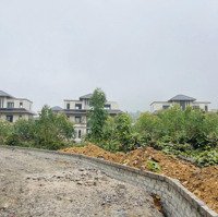 Siêu Phẩm Hàng Vip Giá Siêu Rẻ Cho Nđt 1.4Ha. Mặt Bãi Dài Xanhvila