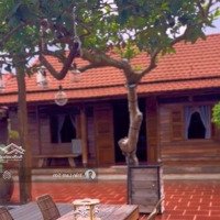 4 Tỷ 650 Triệu Mua Được 214,4Mv Đất Thổ Cư Có Nhà Vườn Tại Đường Huỳnh Tấn Phát 161M