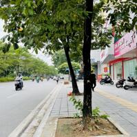 Bán nhà mặt phố Đào Tấn dãy chẵn tuyệt đẹp, hiệu suất cao, 100m2 giá bán 65 tỷ