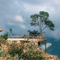 Bán 850M Đất Sổ Đỏ Chính Chủ Tại Pà Cò, Hang Kia Mai Châu Hoà Bình Làm Homestay