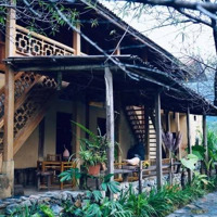 Chính Chủ Bán 1520M Đất Làm Homestay Ở Pà Cò, Hang Kia Giá Bán 1 Tỷ 950 Triệu