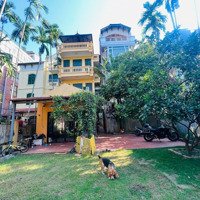 Cho Thuê Nhà Riêng 300M2, 40 Triệu Vnd, Đặng Thai Mai, Quảng An, Tây Hồ, Hà Nội