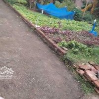 Đất Đẹp Xuất Sắc Tại Ngọc Tảo, Phúc Thọ, Hà Nội, 1,57 Tỷ, 46 M2