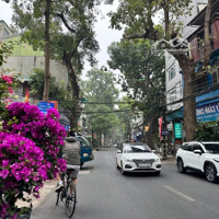 Bán Đất Mp Hoàng Hoa Thám Ba Đìnhdiện Tích262M X Đất Xmặt Tiền6,3M Giá Bán 88 Tỷ Có Thương Lượng