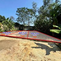 Bán Đất Giá Rẻ Gần Khu Công Nghiệp Tam Dương Chỉ Hơn 400 Triệu ,Sổ Hồng Riêng