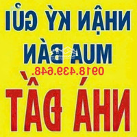 Chính Chủ Gửi Bán Lô Đất Biệt Thự Mi Ni Đường 38 Phường Bình Trưng Q2. Tp Thủ Đức.