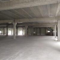 Cho thuê nhà xưởng KCN Thuận Thành 2, Bắc Ninh DT 6800m2 và 13600m2, độc lập, làm chế xuất.