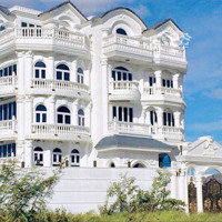 Bán Biệt Thự 135 Tỷ, 319M2, 7 Phòng Ngủ 7 Vệ Sinhtại Thạnh Mỹ Lợi, Q2, Hcm
