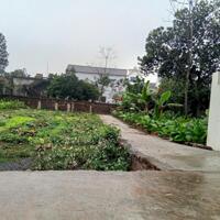  chỉ 9xx triệu, GẦN OTO, PHÂN LÔ, 60M  ĐƯỜNG OTO TRÁNH, BÁN ĐẤT KIM AN. Hotil:0977690119 (Mr.Sinh) Khu phân lô, ngõ rộng, khuôn đất xây nhà đẹp,