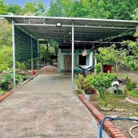 Đất Vườn Giá Rẻ Chính Chủ Cần Bán Rộng 1000M2. Liên Hệ Xem Đất