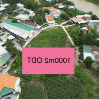 Hàng Hiếm Tại Phường Ninh Hiệp, Ninh Hòa, Khánh Hòa, 7 Tỷ, 1000M2