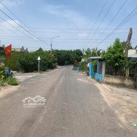 Cần Bán 5 Lô Đấtmặt Tiềnđường Nhựa Làng Bè Phước An, Thích Hợp Làm Nhà Vườn Nghỉ Dưỡng, Giá Đầu Tư Rẻ
