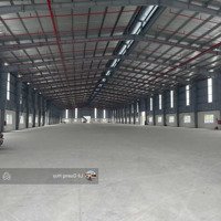 Cho Thuê Kho, Nhà Xưởng, 65 Nghìn / M2, 4000 M2 Tại Hưng Hà, Thái Bình, Pháp Lý Chuẩn, Có Pccc
