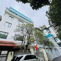 Bán Biệt Thự Khu Vip Tây Hồ Không Gian Trang Trọng, 203M2 Sân Vườn An Ninh 24/24, Hưởng Thụ An Lạc