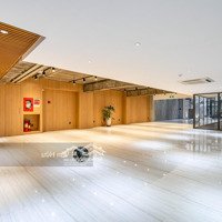 Tòa Nhà Mặt Tiền Dương Quảng Hàm, Q. Gò Vấp - Dt: 12X50M - Hầm 8 Tầng - Hđt: 350 Triệu - Giá Bán 100 Tỷ