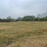 Bán Đất 2.1Ha 2000M2 Đất Ở Cách Kcn Bảo Hiệu Yên Thủy Quymô 530Ha Chỉ 300M Vị Trí Vô Cùng Tiềm Năng
