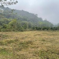Bán Đất 2.1Ha 2000M2 Đất Ở Cách Kcn Bảo Hiệu Yên Thủy Quymô 530Ha Chỉ 300M Vị Trí Vô Cùng Tiềm Năng