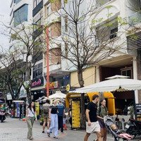 Lô Đất Hiếm Phố An Thượng, Trung Tâm Phố Tây Đi Bộ, Xây Toà Nhà Dòng Tiền Rất Đẹp