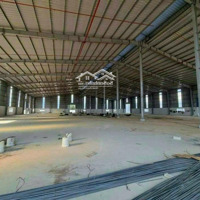 Cho Thuê 23.000M2 Đất Có 10.000M2 Kho Nhà Xưởng Tại Đà Nẵng