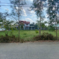 Bán Rẻ Đất Bình Chánh Qh Dân Cư 1.200M2 Ngnag 50M X20M