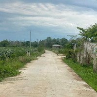 Bán Vườn Thanh Long Ruột Đỏ, Thanh Long Tổ Yến 42Ha, Xã Hồng Liêm, Huyện Hàm Thuận Bắc, Bình Thuận