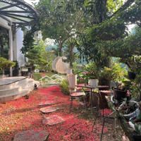 Liền Kề Trung Yên - Trung Hoà - Khu Vực Nhiều Văn Phòng Cafe 122M2 X 5 Tầng, View Vườn Hoa