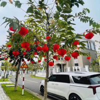 Bán Huề Vốn Biệt Thự Khu Compound Aqua City 300M2 Chỉ 14.69 Tỷ Nhà Sẵn View Hồ Bơi, View Sông