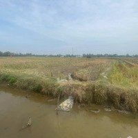 Bán Đất Giá Rẻ Bình Chánh 2940M2 Giá 3.6Ti
