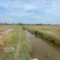 Bán Đất Giá Rẻ Bình Chánh 2940M2 Giá 3.6Ti