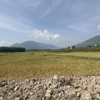 Bán Đất 1.500M2 Giá Bán 480 Triệu Gần Đường Nhựa Tỉnh Lộ 8B Xã Khánh Trung, Khánh Vĩnh Liên Hệ: 0788.558.552