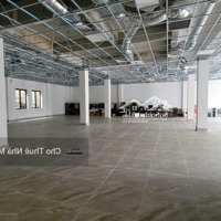 Cho Thuê Nhà Mặt Phố Hoàng Quốc Việt Diện Tích 150M X 3 Tầng, Mặt Tiền 6M, Đoạn Đẹp,Mọi Mô Hình