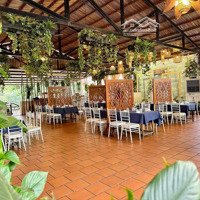 Siêu Vip, Cho Thuê Mặt Bằng Kinh Doanh Phố Trương Định, Dtsd 1200M2, Mặt Tiền 16M, Vị Trí Rất Đẹp