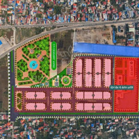 Hàng Hiếm Tại An Hồng, Hồng Bàng, Hải Phòng, Giá Bán 3,5 Tỷ, Diện Tích 60 M2