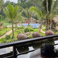 Bán Khu Homestay Rộng 3638M2 Tại Vân Hoà Ba Vì Sổ Đỏ Thổ Cư Chỉ 18,8 Tỷ