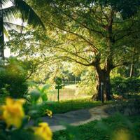 Booking đợt 1 dự án Eco Retreat - Đặt quyền chọn vị trí đẹp - ưu đãi tốt nhất