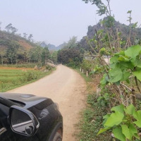 Bán Đất Trang Trại Nghỉ Dưỡng Gấp 7.3 Hec Tại Lương Sơn Hoà Bình, Giá Có 550 Nghìn/M2