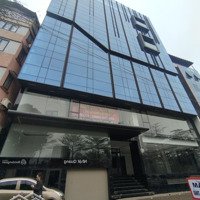 Cho Thuê Nhà Mặt Phố Tú Mỡ Diện Tích 160Mx6Tmặt Tiền15M Giá Bán 165 Triệu Thông Sàn Đầy Đủ Thang Máy Pccc