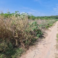 Bán Đất Cln Lên Được Skc,Diện Tích10 Mẫu, Quá Rẻ 2,9 Tỷ/Ha X An Long, Phú Giáo, Bd, Gần Điện 3Fa, Tải Vô