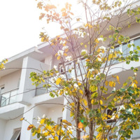 Bán Biệt Thự Ciputra Khu K -Diện Tích325M2 Mặt Tiền Rộng Giá Thị Trường Tốt Nhất - Liên Hệ: 0986 436 161