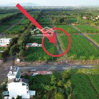 Dự Án Hud Nhơn Trạch Cần Bán Đất Nền 150M2 6X25M Sổ Hồng Riêng Giá Tốt Đầu Tư Sinh Lời Nhanh