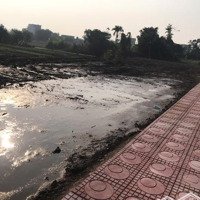 Chính Chủ Bán Đất Khu Công Nghiệp Vsip Giao Thuỷ, Nam Định, Sẵn Sổ Đỏ Giá Chỉ Từ 10 Triệu/M2