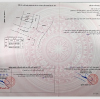 Nắm Chủ: Sản Phẩm Giá Tốt Nhất Phường Long Trường