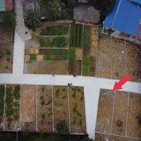 Chính Chủ Cần Bán Lô Góc Giá Chỉ 7Xxtr Sẵn Sổ Cc Luôn Trong Ngày