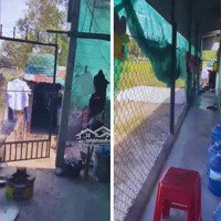 Bán Nhà Đẹp 6X26M, 50M2 Thổ Cư, Đường Rộng Rãi, Hẻm Nguyễn Công Trứ, Giá Bán 1.2 Tỷ Tl, Tân Thiện, Lagi