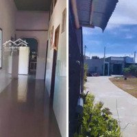 Bán Nhà Đẹp 6X26M, 50M2 Thổ Cư, Đường Rộng Rãi, Hẻm Nguyễn Công Trứ, Giá Bán 1.2 Tỷ Tl, Tân Thiện, Lagi