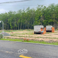 Bán Nhanh Lô Đất 250M2 Đẹp Ngay Chợ Tân Long - Phú Giáo - Bình Dương Giá 850 Triệu