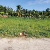 bán nên 100m2 , full thổ xã phú hưng , tỉnh bến tre